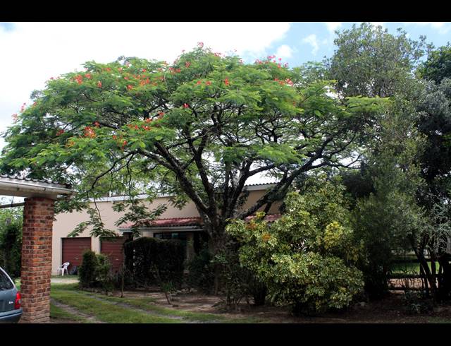 8.60HA FARM FOR SALE IN EAST LONDON RURAL